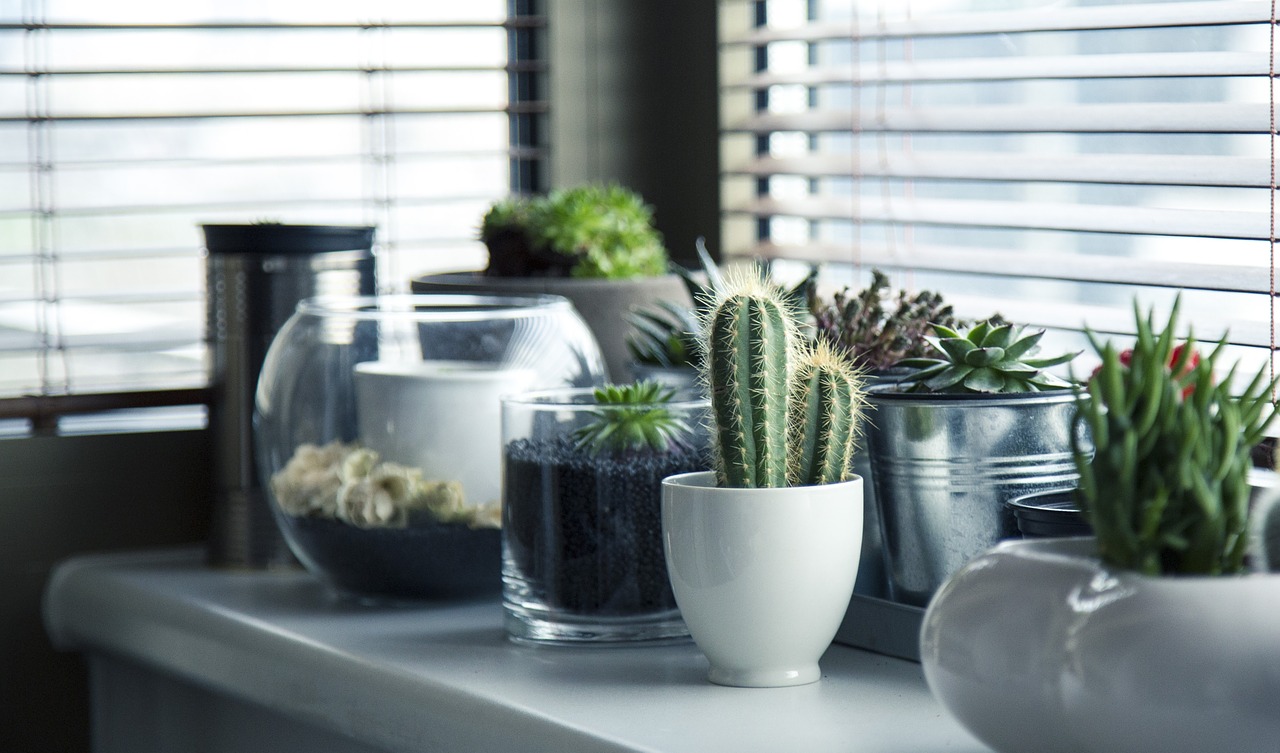 decor